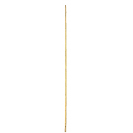 Tyč KWON Čínská růže 200 cm