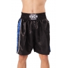 Trenky KWON Professional modrý pruh