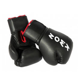 Boxovací rukavice KWON Training