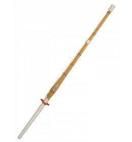 Training Shinai