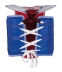 Vesta na taekwondo KWON TRAINING KOREAN STYLE WT