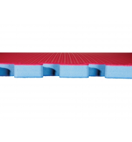 Tatami KWON WT rec. červená / modrá