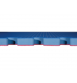 Tatami KWON WT rec. červená / modrá